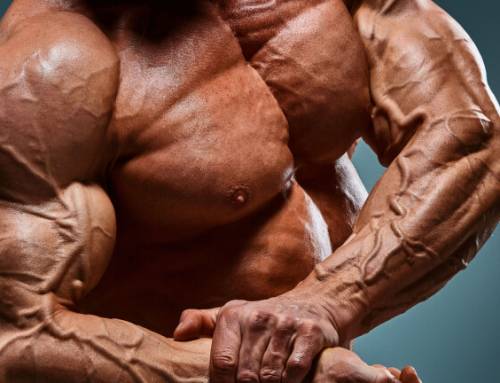 CrankGPT: Hộp AI quay tay biến câu trả lời thành… bài tập thể lực